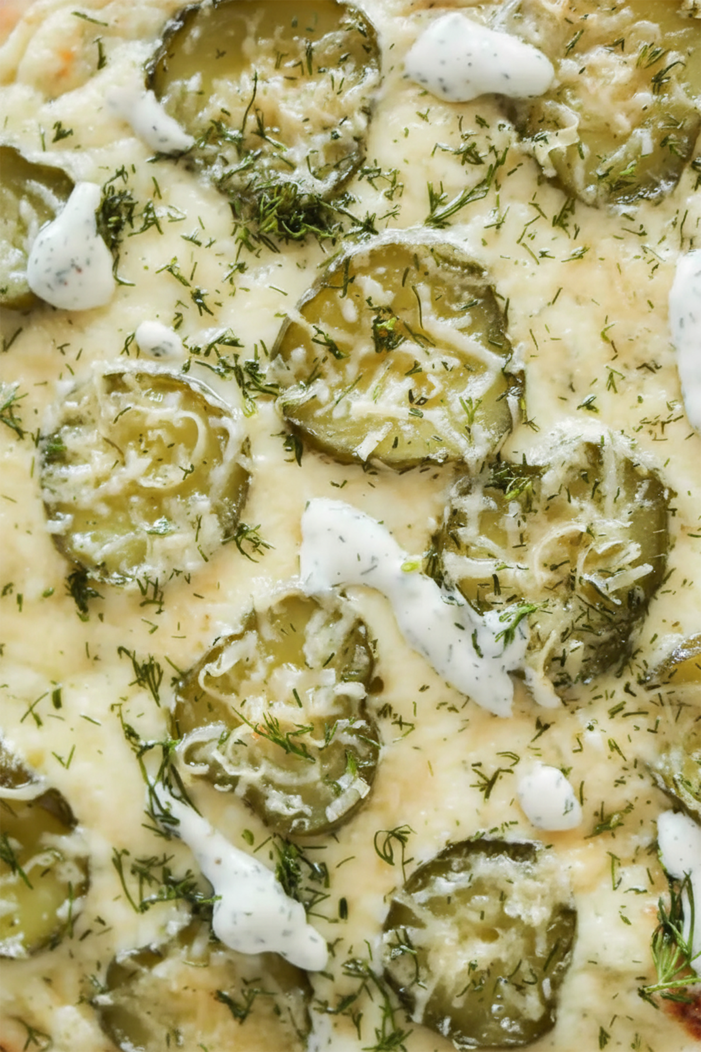 Dill Pickle Pizza topped with sliced pickles, melted mozzarella cheese, and fresh dill on golden crust